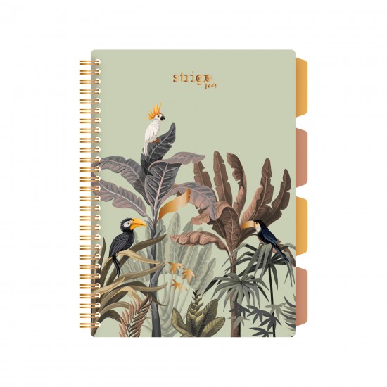 Caiet cu spirala si separatoare, STRIGO PADS Project Book Africa, B5, Matematica, PADS069