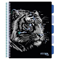 Caiet cu spirala si separatoare, STRIGO PADS Project Book TIGRU, A4, Dictando, PADS092 Caiet cu spirala si separatoare, STRIGO PADS Project Book TIGRU, A4, Dictando, PADS092