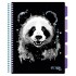 Caiet cu spirala si separatoare, STRIGO PADS Project Book PANDA, A4, Dictando, PADS093