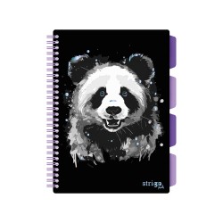 Caiet cu spirala si separatoare, STRIGO PADS Project Book PANDA, B5, Dictando, PADS097 Caiet cu spirala si separatoare, STRIGO PADS Project Book PANDA, B5, Dictando, PADS097