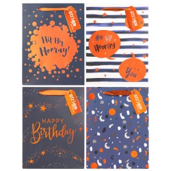 Set 4 pungi hartie 18x23(h)x10cm 210 gsm. PART039