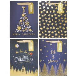 Set 4 pungi hartie 18x23(h)x10cm 210 gsm. PART045