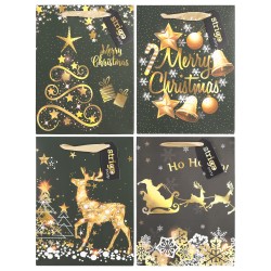 Set 4 pungi hartie 18x23(h)x10cm 210 gsm. PART046