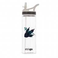 Bidon Strigo Dinosaur Colection, 600 ml SSC270 Bidon Strigo Dinosaur Colection, 600 ml SSC270