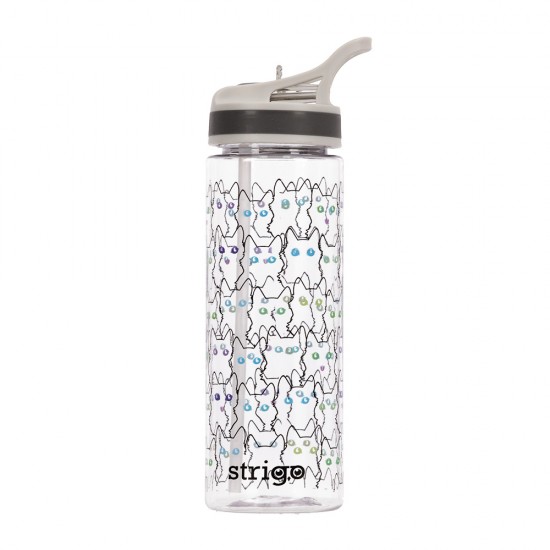 Bidon Strigo Cats Colection, 600 ml SSC272 Bidon Strigo Cats Colection, 600 ml SSC272
