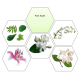 Odorizant ambiental Park Hyat, 500 ml Odorizant ambiental Park Hyat, 500 ml