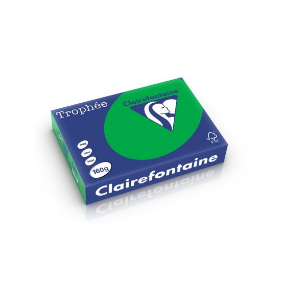 Carton color A4, Clairefontaine Intens 160 g/mp-250 coli/top Carton color A4, Clairefontaine Intens 160 g/mp-250 coli/top