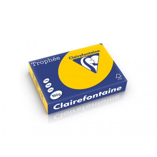 Carton color A4, Clairefontaine Intens 160 g/mp-250 coli/top