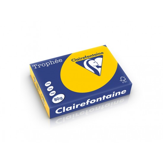 Hârtie color Clairefontaine Intens A4, 80g/mp, 500 coli/top