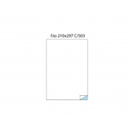 Etichete fără margini C/503