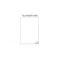 Etichete fără margini C/503 Etichete fără margini C/503