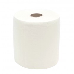 Prosop cu derulare centrala 2 pliuri 100 m, portionata, alb, celuloza 100%, AQAS Prosop cu derulare centrala 2 pliuri 100 m, portionata, alb, celuloza 100%, AQAS