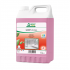 Detergent ecologic concentrat spatii sanitare SANET Zitrotan, 5L