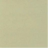 Covor pvc lentex PIONEER (2m)