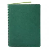 Agenda 360 piele verde
