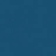 PVC sportiv Omnisports V120 albastru Night Blue