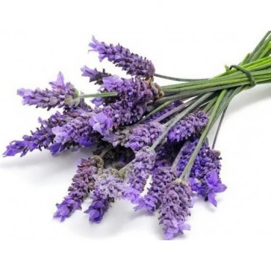 Keff săpun lichid pentru mâini Jasmin & Lavender 500 ml Keff săpun lichid pentru mâini Jasmin & Lavender 500 ml