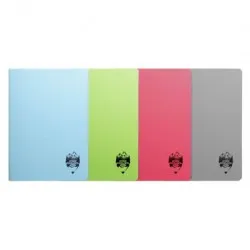 Caiet a4 100 file coperta plastic atinge excelenta dr