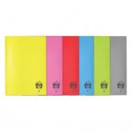 Caiet a4 60 file coperta plastic atinge excelenta dr Caiet a4 60 file coperta plastic atinge excelenta dr
