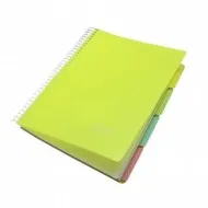 Caiet a4 200 file 5 subiecte daco eminent Caiet a4 200 file 5 subiecte daco eminent