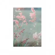 Caiet a5 140 file ecada dr Caiet a5 140 file ecada dr