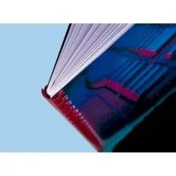 Coperti indosariere Apex, transparent cristal, A4, 150 microni Coperti indosariere Apex, transparent cristal, A4, 150 microni