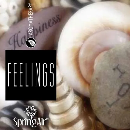 Rezerva odorizant prin nano-atomizare, FEELINGS - Spring Air, 500ml Rezerva odorizant prin nano-atomizare, FEELINGS - Spring Air, 500ml